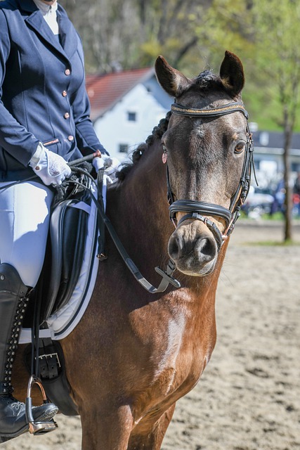 巴萨的梦想 巴萨的梦想