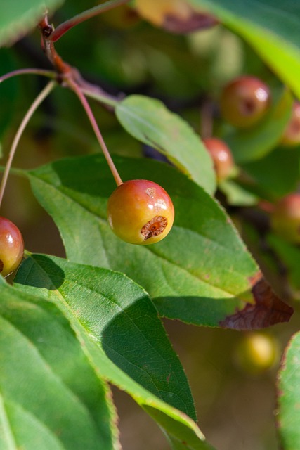 包括自然保 包括自然保