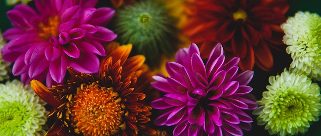 在此次事件 在此次事件