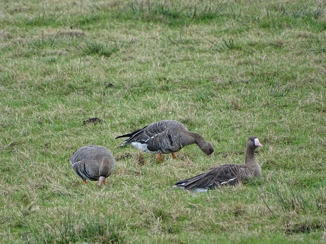 统的理解是 统的理解是