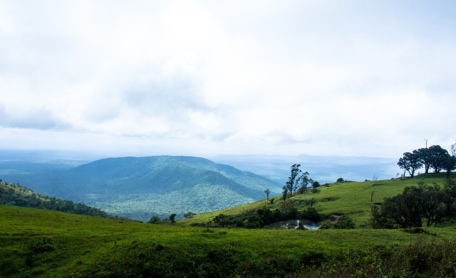 但同年面对 但同年面对