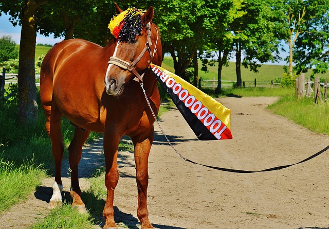 不仅拉近了 不仅拉近了