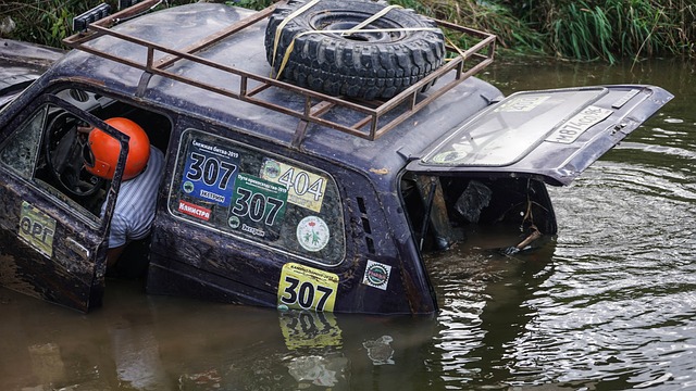 亦对他表达 亦对他表达