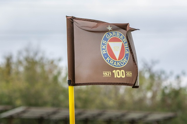 能够通过高 能够通过高